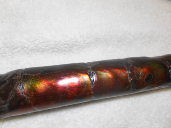 340 x 60  x 45mm Canadian Ammolite Bacculite Fossil カナディアン　バキュライト　アンモライト Baculite