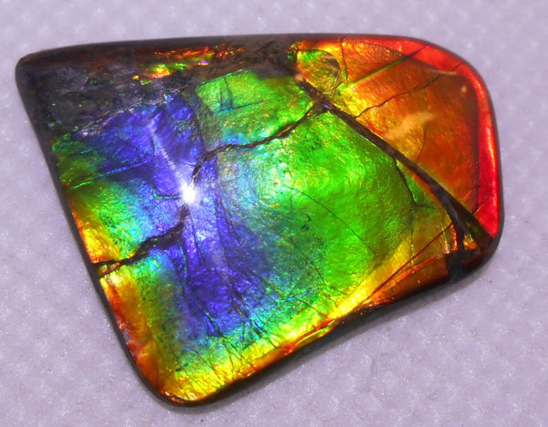 33 x 26 mm - IMP-37　Natural Ammolite Double-Sided Imperial BEAUTY!　両面　レアルース　アンモライト