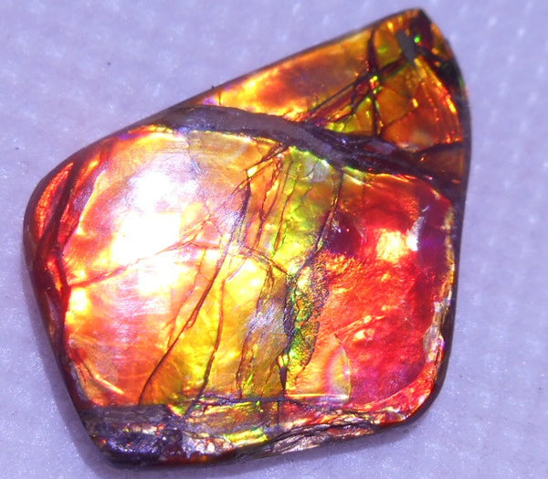 30 x 22 mm - IMP-38　Natural Ammolite Double-Sided Imperial BEAUTY!　両面　レアルース　アンモライト