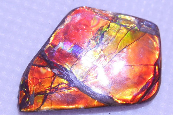 30 x 22 mm - IMP-38　Natural Ammolite Double-Sided Imperial BEAUTY!　両面　レアルース　アンモライト