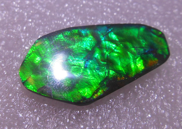 30 x 15  mm - Natural Free Form FFN 182  Ammolite ナチュラル　ルース　アンモライト フリーフォーム