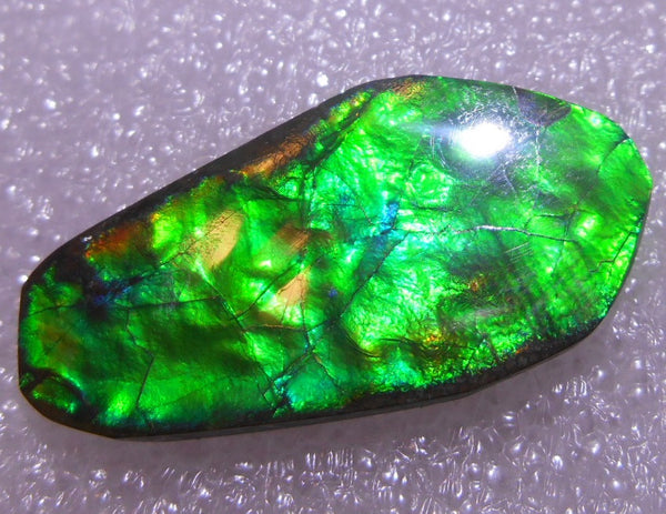 30 x 15  mm - Natural Free Form FFN 182  Ammolite ナチュラル　ルース　アンモライト フリーフォーム