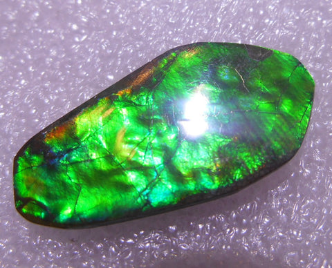 30 x 15  mm - Natural Free Form FFN 182  Ammolite ナチュラル　ルース　アンモライト フリーフォーム