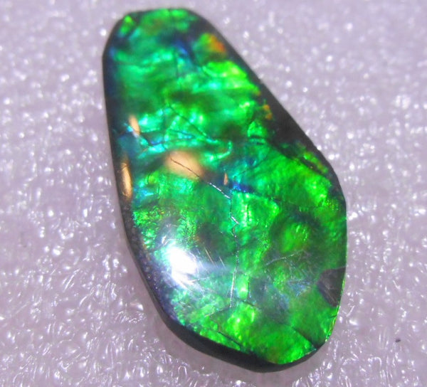 30 x 15  mm - Natural Free Form FFN 182  Ammolite ナチュラル　ルース　アンモライト フリーフォーム