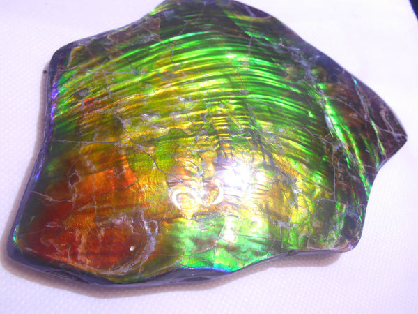 195 x 138 x 6~11mm - Collector Stone - CS-70    コレクターピース Natural HUGE AAA BLUE ZONE