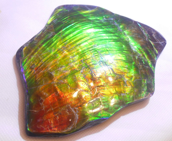 195 x 138 x 6~11mm - Collector Stone - CS-70    コレクターピース Natural HUGE AAA BLUE ZONE