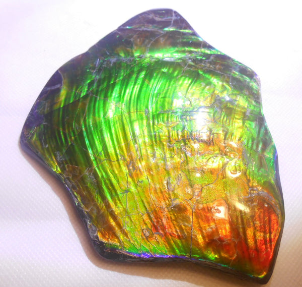 195 x 138 x 6~11mm - Collector Stone - CS-70    コレクターピース Natural HUGE AAA BLUE ZONE