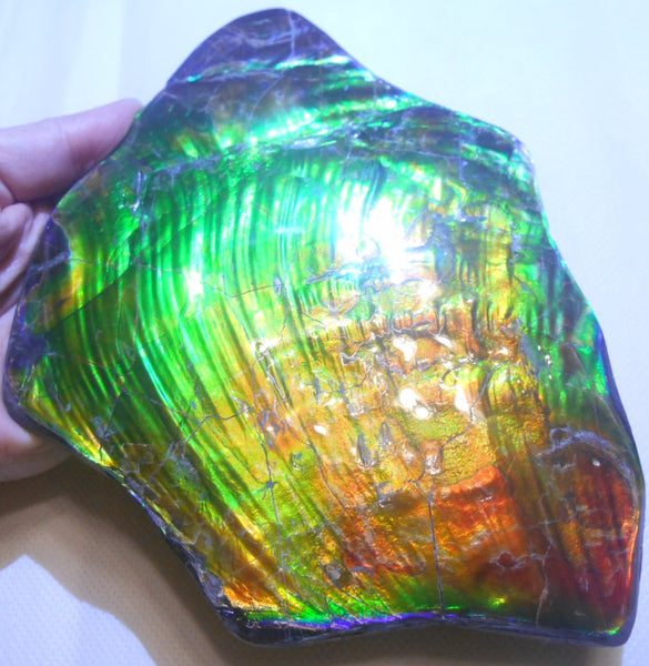 195 x 138 x 6~11mm - Collector Stone - CS-70    コレクターピース Natural HUGE AAA BLUE ZONE