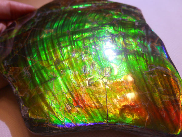 195 x 138 x 6~11mm - Collector Stone - CS-70    コレクターピース Natural HUGE AAA BLUE ZONE