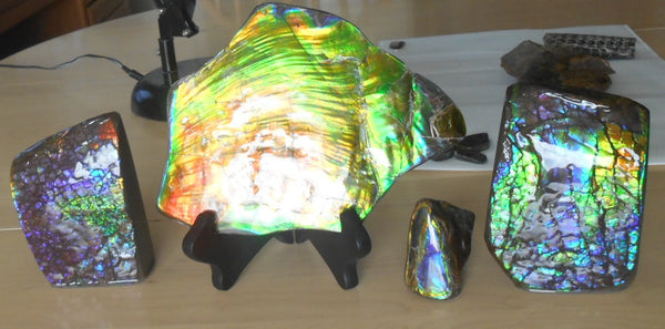 195 x 138 x 6~11mm - Collector Stone - CS-70    コレクターピース Natural HUGE AAA BLUE ZONE