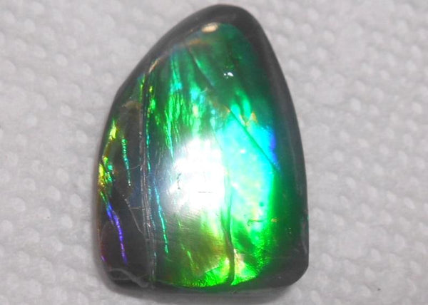 30 x 20 mm  Natural  Free Form . FFN 304 Ammolite  ナチュラル　ルース　アンモライト フリーフォーム