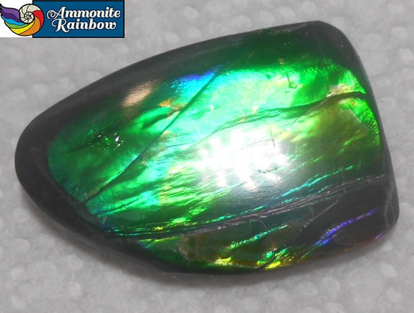 30 x 20 mm  Natural  Free Form . FFN 304 Ammolite  ナチュラル　ルース　アンモライト フリーフォーム