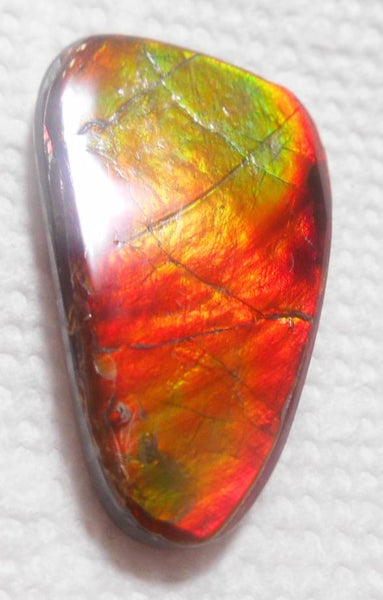 SALE!! 37 x 23 mm  Natural  Free Form . FFN 315 Ammolite  ナチュラル　ルース　アンモライト フリーフォーム