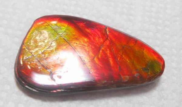 SALE!! 37 x 23 mm  Natural  Free Form . FFN 315 Ammolite  ナチュラル　ルース　アンモライト フリーフォーム