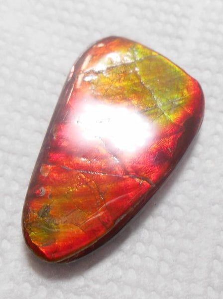 SALE!! 37 x 23 mm  Natural  Free Form . FFN 315 Ammolite  ナチュラル　ルース　アンモライト フリーフォーム