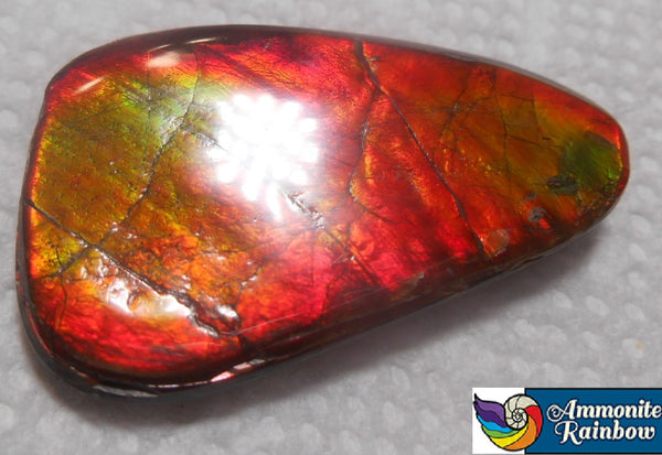 SALE!! 37 x 23 mm  Natural  Free Form . FFN 315 Ammolite  ナチュラル　ルース　アンモライト フリーフォーム