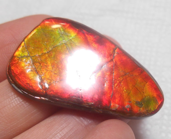 SALE!! 37 x 23 mm  Natural  Free Form . FFN 315 Ammolite  ナチュラル　ルース　アンモライト フリーフォーム