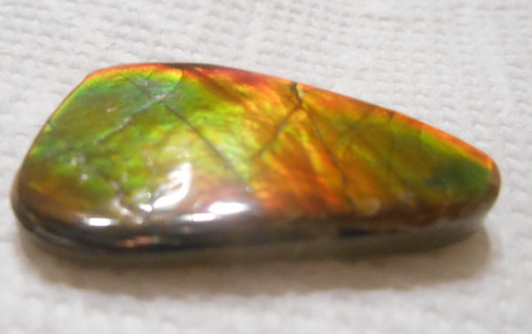 SALE!! 37 x 23 mm  Natural  Free Form . FFN 315 Ammolite  ナチュラル　ルース　アンモライト フリーフォーム
