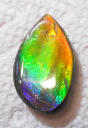 24 x 15 mm  Natural  Free Form . FFN 298 Ammolite  ナチュラル　ルース　アンモライト フリーフォーム