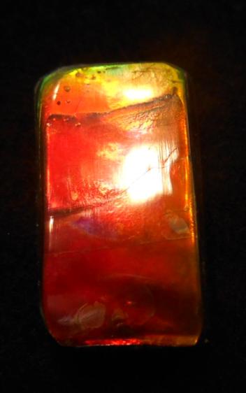 SALE 50% OFF!! 26 x 15 mm  Natural  Free Form . FFN 299 Ammolite  ナチュラル　ルース　アンモライト フリーフォーム