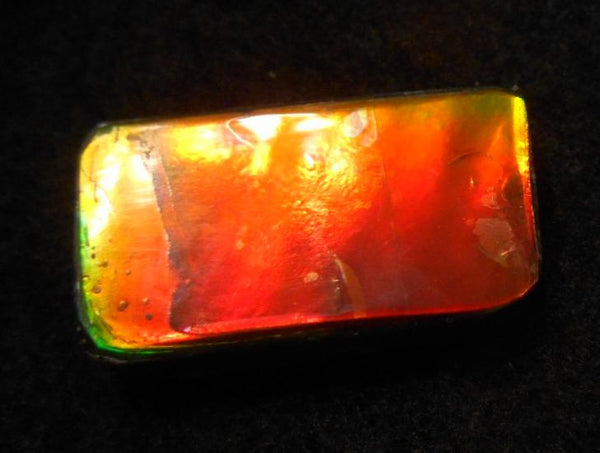 SALE 50% OFF!! 26 x 15 mm  Natural  Free Form . FFN 299 Ammolite  ナチュラル　ルース　アンモライト フリーフォーム