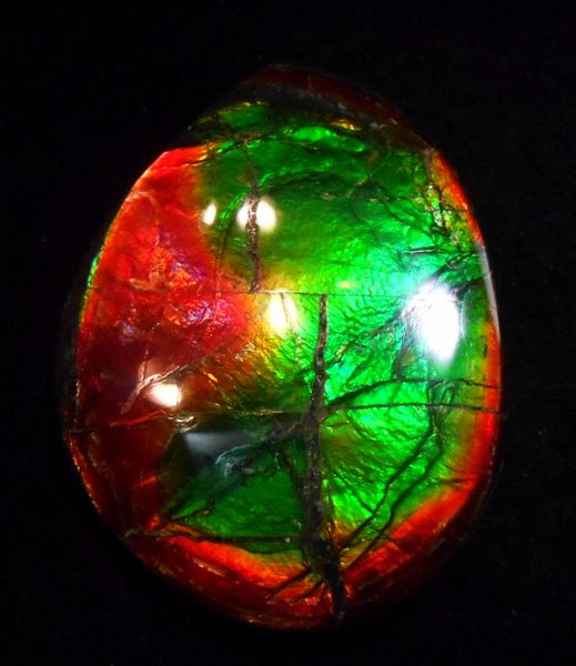 SALE 50% OFF 43 x 32 mm  Natural  Free Form . FFN 305 Ammolite  ナチュラル　ルース　アンモライト フリーフォーム