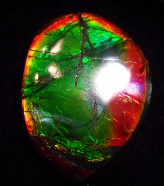 SALE 50% OFF 43 x 32 mm  Natural  Free Form . FFN 305 Ammolite  ナチュラル　ルース　アンモライト フリーフォーム