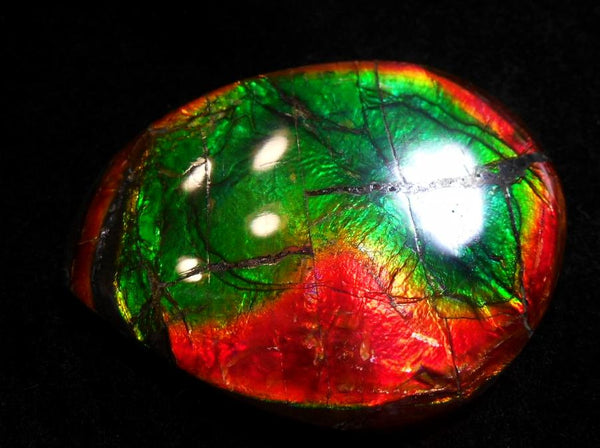 SALE 50% OFF 43 x 32 mm  Natural  Free Form . FFN 305 Ammolite  ナチュラル　ルース　アンモライト フリーフォーム