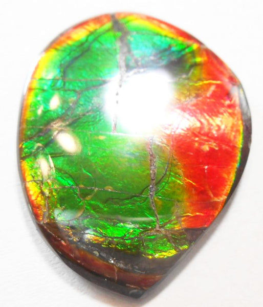 SALE 50% OFF 43 x 32 mm  Natural  Free Form . FFN 305 Ammolite  ナチュラル　ルース　アンモライト フリーフォーム