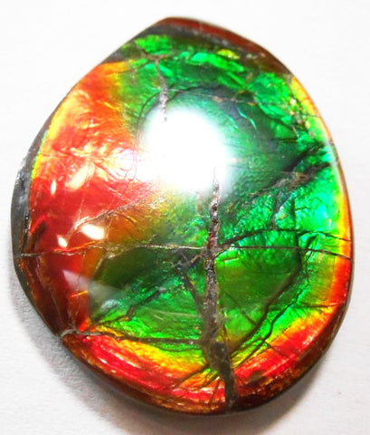 SALE 50% OFF 43 x 32 mm  Natural  Free Form . FFN 305 Ammolite  ナチュラル　ルース　アンモライト フリーフォーム