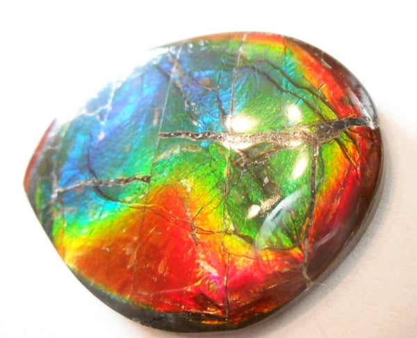 SALE 50% OFF 43 x 32 mm  Natural  Free Form . FFN 305 Ammolite  ナチュラル　ルース　アンモライト フリーフォーム