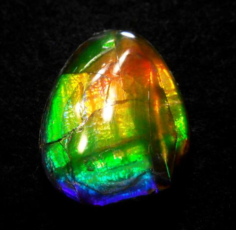 25 x 20 mm  Natural  Free Form . FFN 309 Ammolite  ナチュラル　ルース　アンモライト フリーフォーム