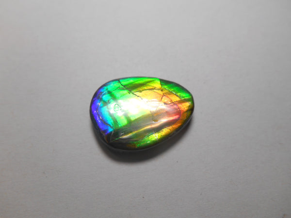 25 x 20 mm  Natural  Free Form . FFN 309 Ammolite  ナチュラル　ルース　アンモライト フリーフォーム