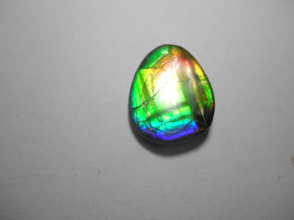 25 x 20 mm  Natural  Free Form . FFN 309 Ammolite  ナチュラル　ルース　アンモライト フリーフォーム