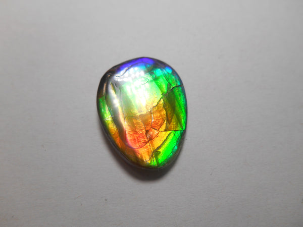 25 x 20 mm  Natural  Free Form . FFN 309 Ammolite  ナチュラル　ルース　アンモライト フリーフォーム