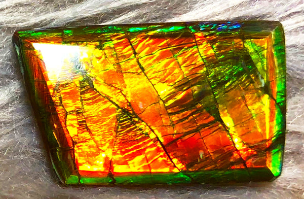 30 x 18 mm  Natural  Free Form . FFN 333 Ammolite  ナチュラル　ルース　アンモライト フリーフォーム