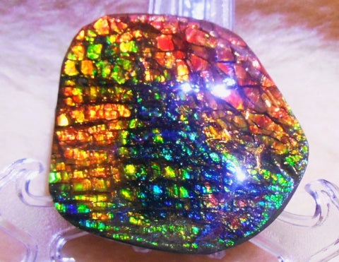 70 x 62 mm - Collector Stone - CS-30  風水  鑑賞　コレクター　ドラゴンスキン　アンモライト Ammolite