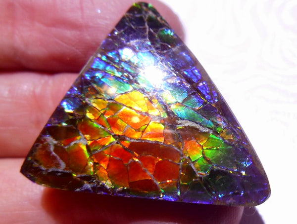 32 x 26 mm - Natural Free Form FFN 89 Ammolite　　ナチュラル　ルース　アンモライト