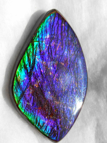 Large 55 x 34 mm Natural  Free Form . FFN 242  Ammolite   ナチュラル　ルース　アンモライト フリーフォーム