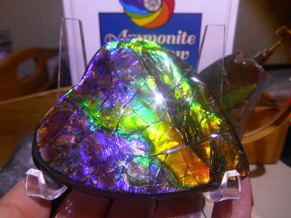 75 x 65 x 16 mm - Collector Stone - CS-61 AAA Natural Rainbow Heart Shape　ナチュラル AAA ハート形 コレクターディスプレイピース