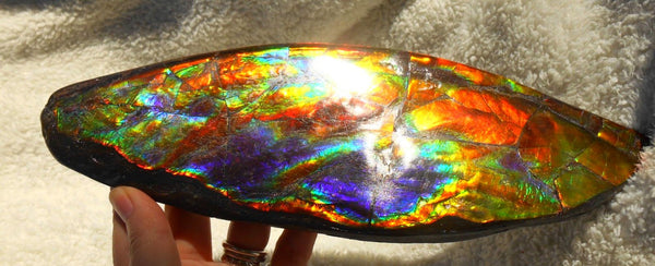 Make An Offer! 交渉あり☆AAA Double-Sided HUGE  Premium Rare Gorgeous Colors COLLECTOR Section Piece  256 x 82 mm　Natural Ammolite - Feng Shui CS-108 ダブル 超大型両面 ナチュラル　コレクション　ディスプレイピース