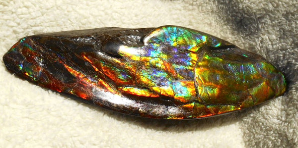 Make An Offer! 交渉あり☆AAA Double-Sided HUGE  Premium Rare Gorgeous Colors COLLECTOR Section Piece  256 x 82 mm　Natural Ammolite - Feng Shui CS-108 ダブル 超大型両面 ナチュラル　コレクション　ディスプレイピース