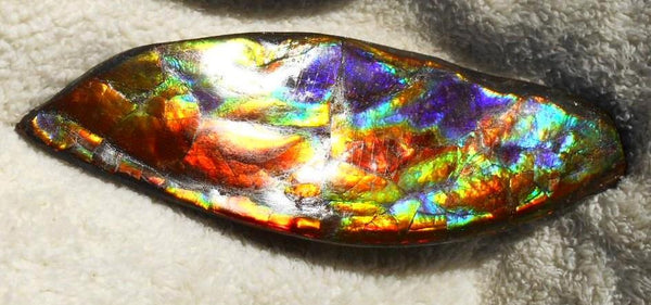Make An Offer! 交渉あり☆AAA Double-Sided HUGE  Premium Rare Gorgeous Colors COLLECTOR Section Piece  256 x 82 mm　Natural Ammolite - Feng Shui CS-108 ダブル 超大型両面 ナチュラル　コレクション　ディスプレイピース