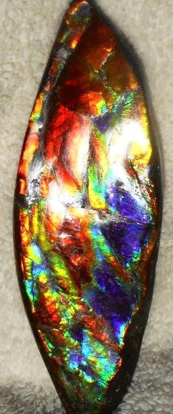 Make An Offer! 交渉あり☆AAA Double-Sided HUGE  Premium Rare Gorgeous Colors COLLECTOR Section Piece  256 x 82 mm　Natural Ammolite - Feng Shui CS-108 ダブル 超大型両面 ナチュラル　コレクション　ディスプレイピース