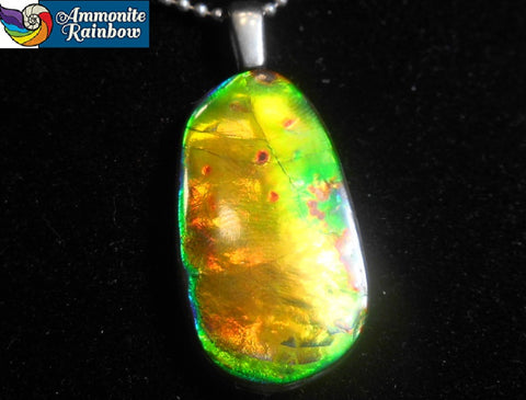 25% OFF!! 30 mm x 22 mm Ammolite Pendant - JWY-06