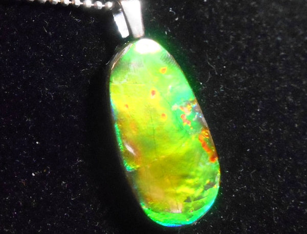 25% OFF!! 30 mm x 22 mm Ammolite Pendant - JWY-06