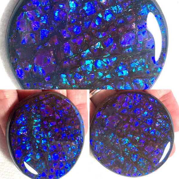 52x 51 x 7 mm Coated Free Form Dragonskin - FFC81   - アンモライト　ルース　