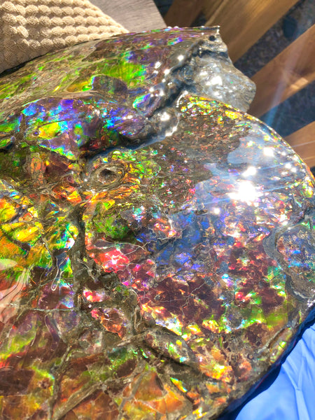 Spectacular Ammonite Fossil - Costatum Double sided 43.1 cm x 38 cm　アンモナイト化石　コスタータム　両面　アンモライト完全体 斑彩石AF-65