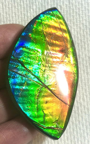 Extra Large Rainbow colors  57x31 mm  Top Grade Natural  Free Form . FFNT 143 Ammolite  レインボーカラー！ナチュラル　ルース　アンモライト