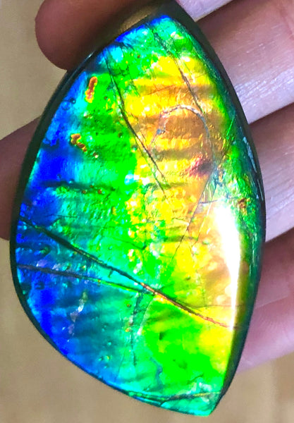 Extra Large Rainbow colors  57x31 mm  Top Grade Natural  Free Form . FFNT 143 Ammolite  レインボーカラー！ナチュラル　ルース　アンモライト